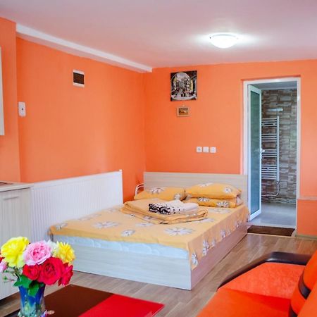 Danailovi Guest House Сапарева-Баня Экстерьер фото