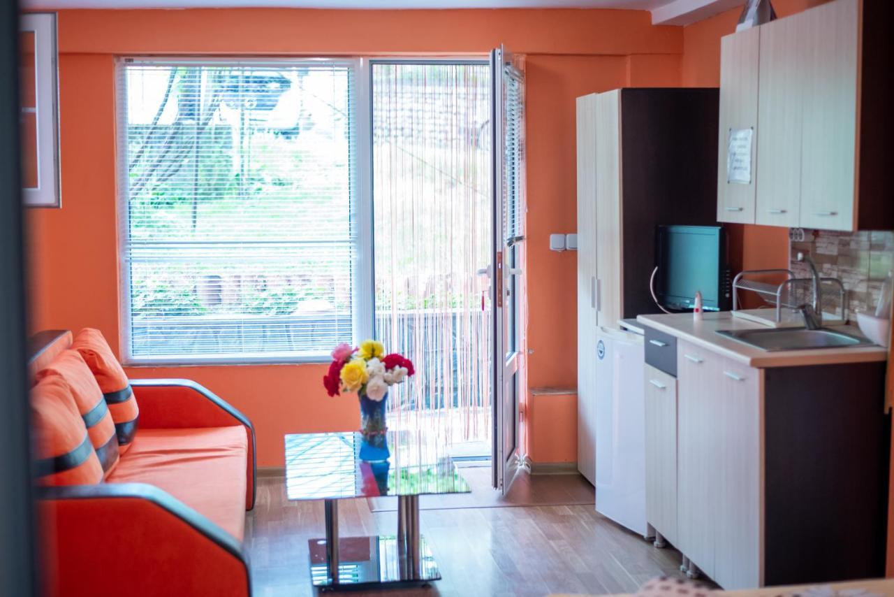 Danailovi Guest House Сапарева-Баня Экстерьер фото