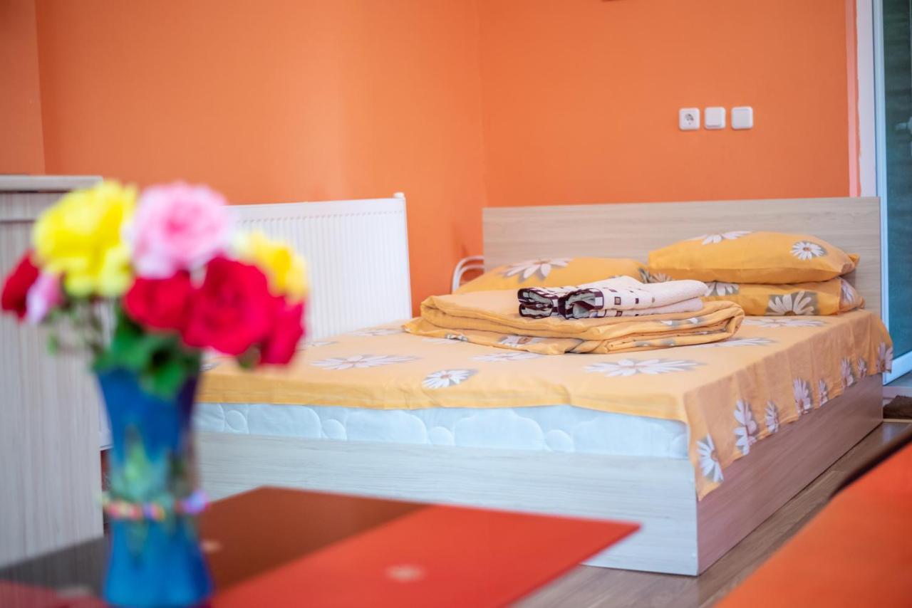 Danailovi Guest House Сапарева-Баня Экстерьер фото