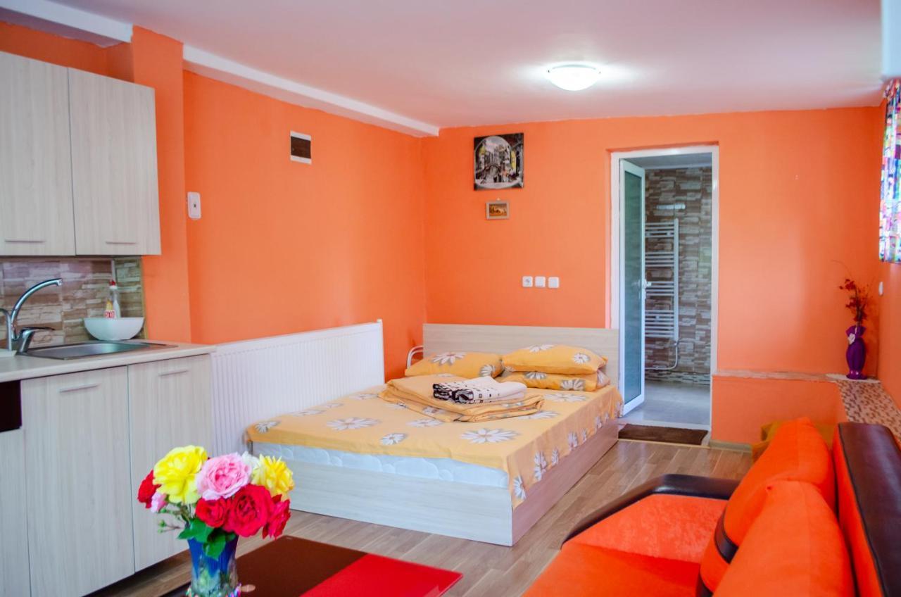 Danailovi Guest House Сапарева-Баня Экстерьер фото