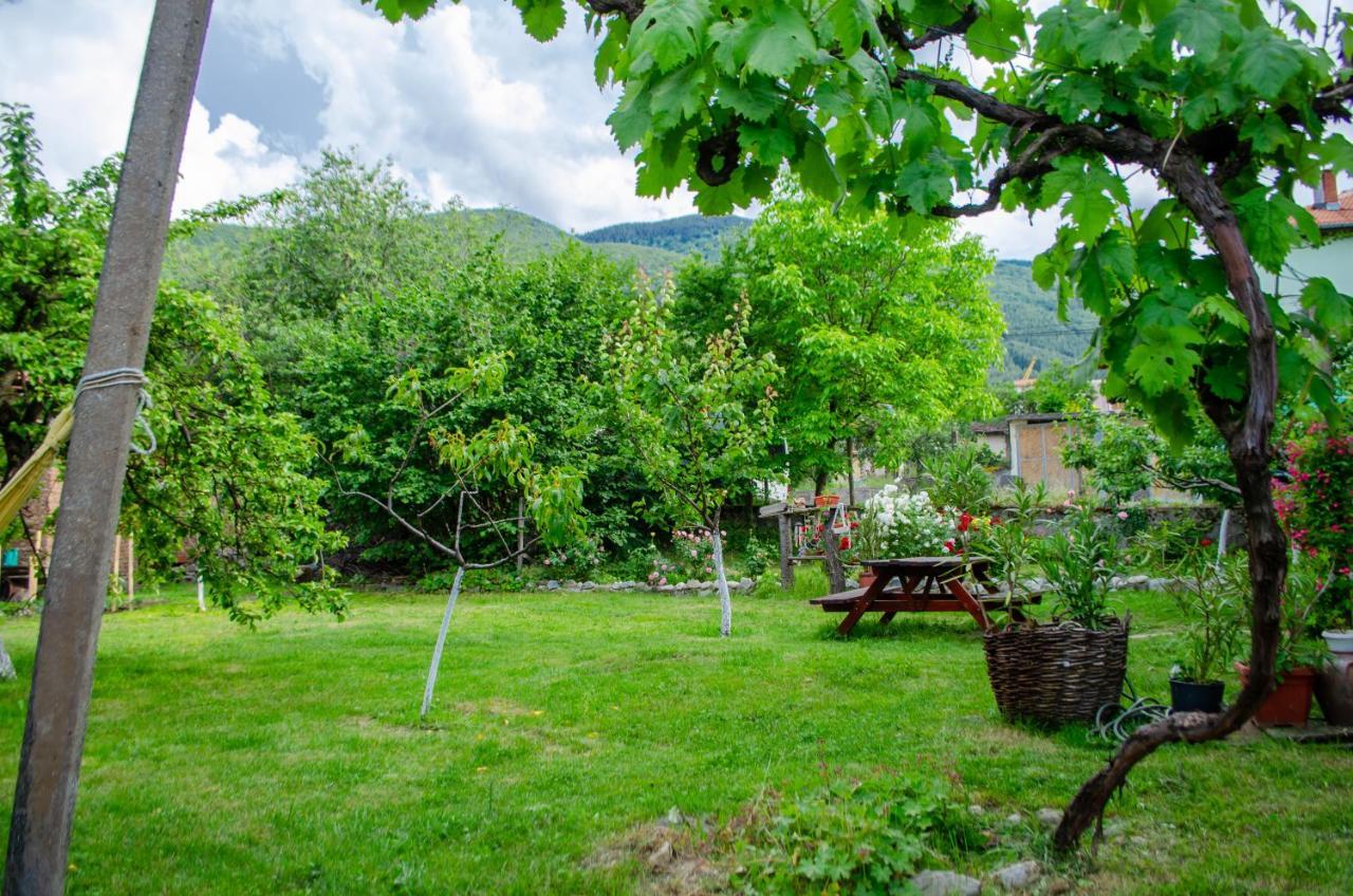 Danailovi Guest House Сапарева-Баня Экстерьер фото