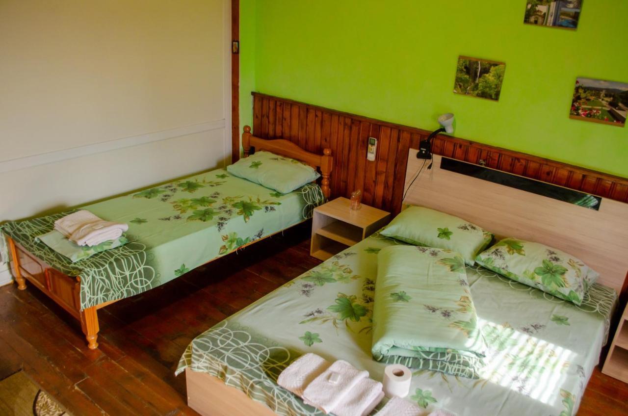Danailovi Guest House Сапарева-Баня Экстерьер фото