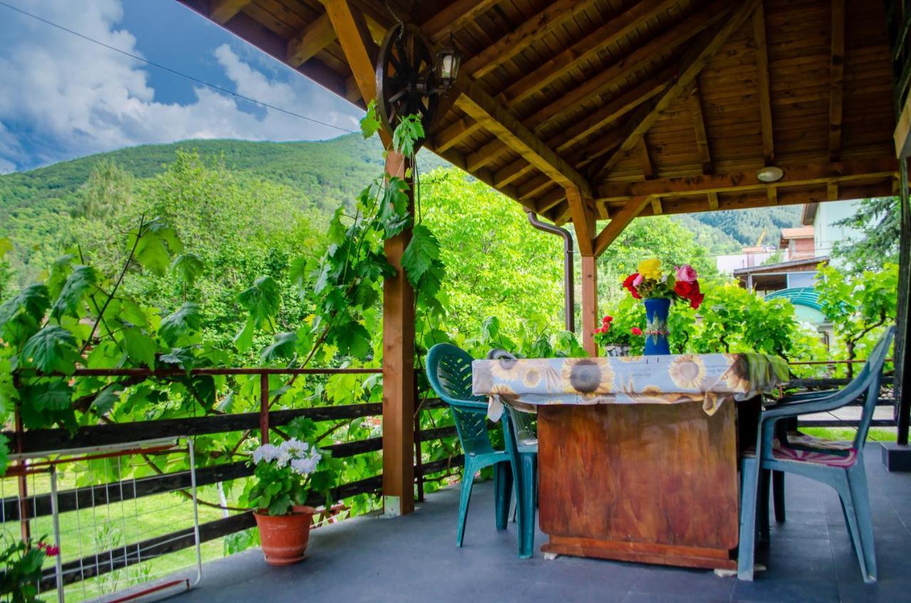 Danailovi Guest House Сапарева-Баня Экстерьер фото