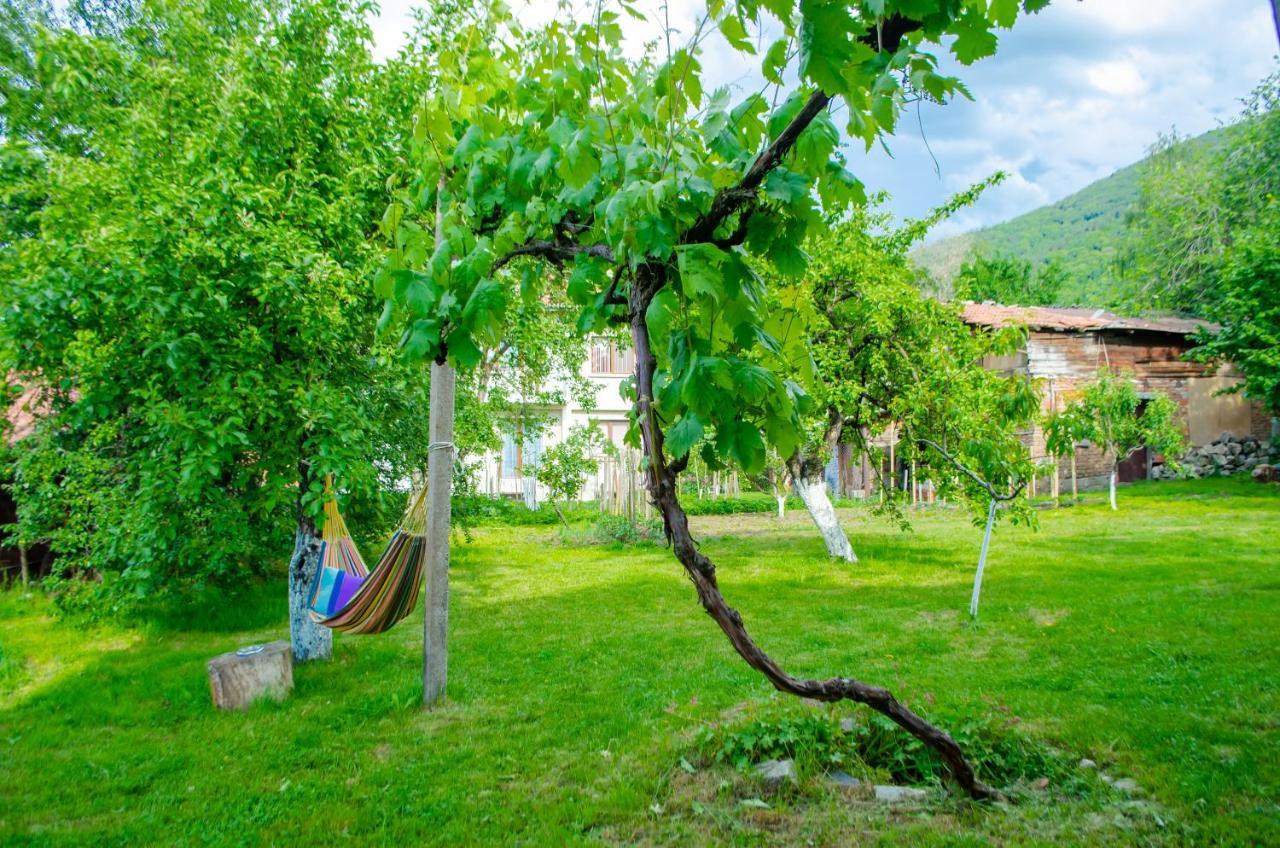 Danailovi Guest House Сапарева-Баня Экстерьер фото